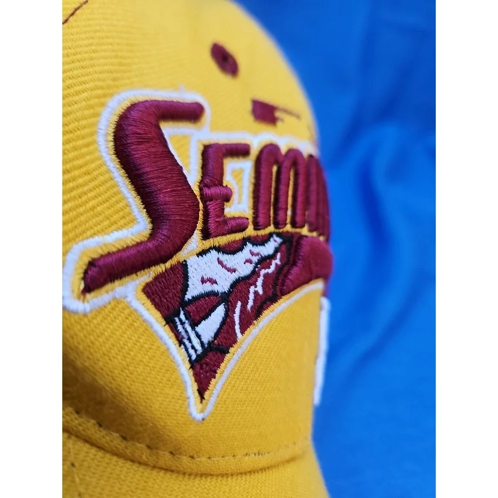 Vintage Florida State Seminoles‎ Hat 3D Embroidered New Top of the World TOW